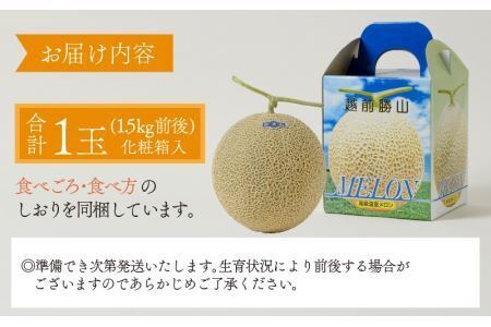 勝山産アールスメロン 1個入り（青肉）※2026年7月下旬以降順次発送 [A-060005]