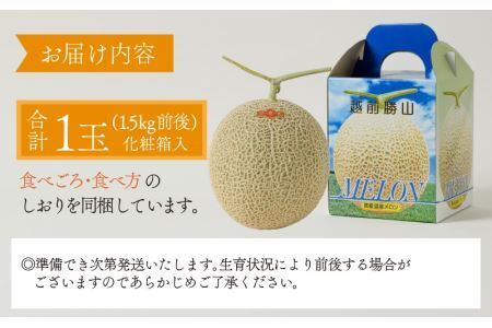 勝山産アールスメロン 1個入り（赤肉）※2026年7月下旬以降順次発送 [A-060006]