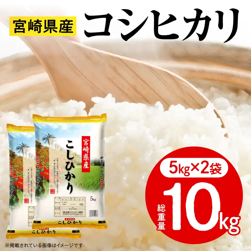 《令和7年産》宮崎県産コシヒカリ 合計10kg(5kg×2袋) コシヒカリ 宮崎県産 超早場米 早場米 精米 白米 お米 米 ごはん 主食 炭水化物
