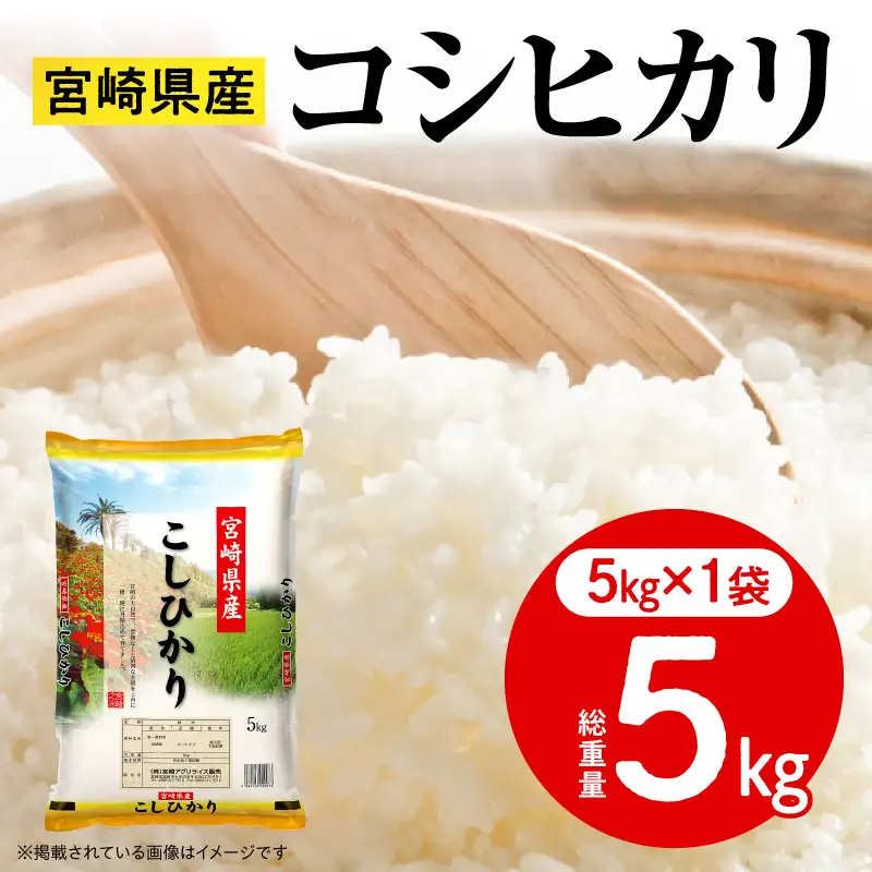 米 コシヒカリ 宮崎県産 5kg 令和7年産 お米 コシヒカリ