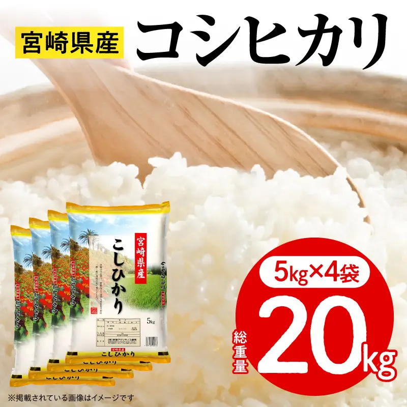 《令和7年産》宮崎県産コシヒカリ 合計20kg(5kg×4袋) コシヒカリ 宮崎県産 超早場米 早場米 精米 白米 お米 米 ごはん 主食 炭水化物