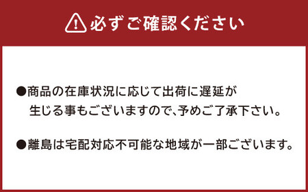 A38 たけのこ組合セット （合計5袋） 筍 竹の子 水煮