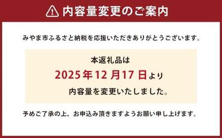 B24 キムチ たけのこ（国産筍使用）250g×10袋 筍 竹の子