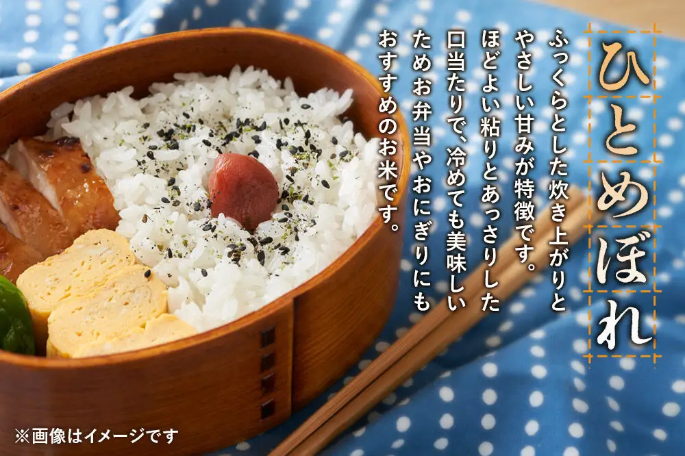 《令和8年産 新米受付》《定期便3ヶ月》【白米】極上秋田銘柄米 ひとめぼれ 5kg