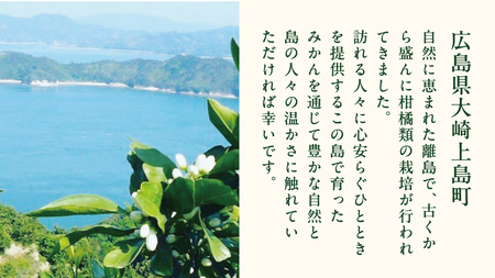 有機夏橙の果実酒 「SPONTANE vin de fruits」