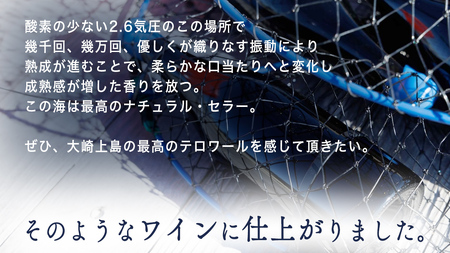 海底貯蔵 ワイン 「海底貯蔵 エヌ by Vignoble de NAKA rouge MBA」【2026年6月以降発送】