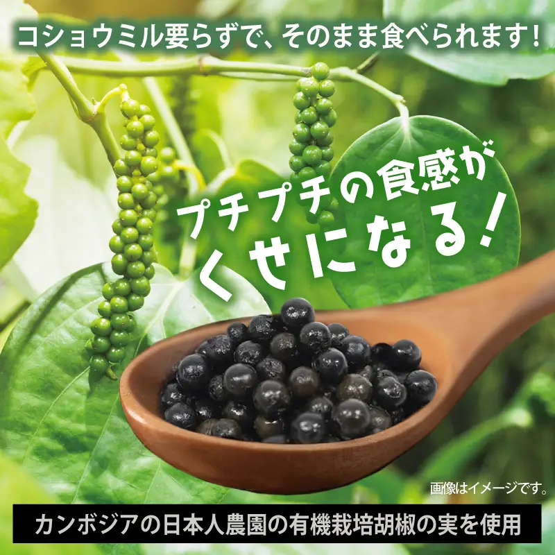 生胡椒 極(きわみ) 60g×1本