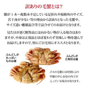 毛ガニ 毛蟹 訳あり 2〜4匹 1.0kg セット 石川県産 茹で蟹 F6P-3033