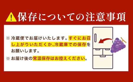 ピオーネ & オーロラブラック 計2房 1kg ﾋﾟｵｰﾈ ぶどう