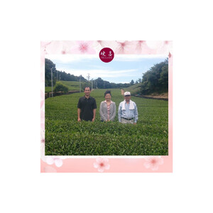 美人しそ茶と美人さくら有機煎茶(各10パック)