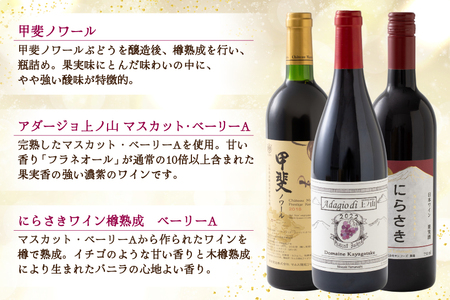 ワイン 赤ワイン好き必見！ 韮崎産 赤ワイン 9本 飲み比べ セット 750ml 8本 720ml 1本 [株式会社まあめいく 山梨県 韮崎市 20745325]