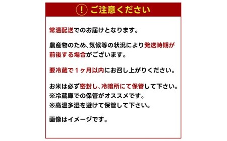 先行予約 令和8年産 米 コシヒカリ 30kg 玄米 鹿嶋市産