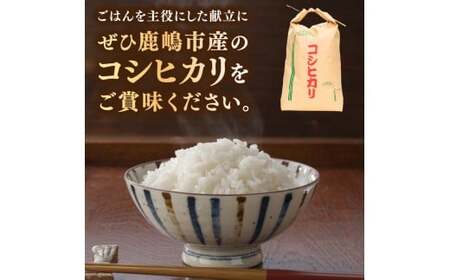 先行予約 令和8年産【3ヶ月定期便】 米 コシヒカリ 5kg × 3回 精米 鹿嶋市産