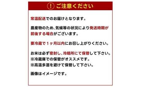 先行予約 令和8年産【3ヶ月定期便】 米 コシヒカリ 10kg × 3回 玄米 鹿嶋市産