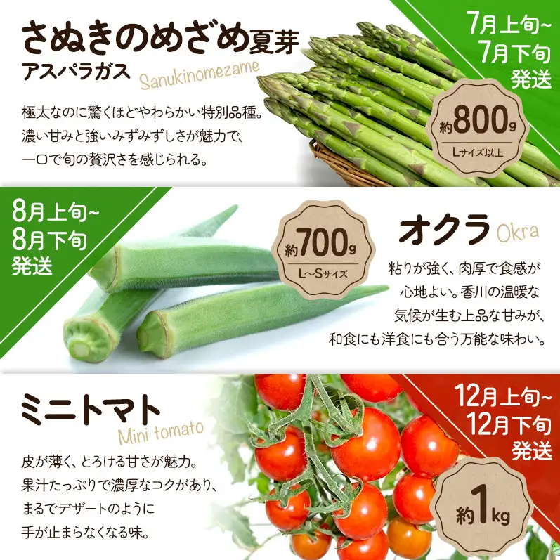 旬のさぬきの野菜定期便（6回）　野菜 定期便 旬 新鮮 食べごろ 季節 ブロッコリー アスパラ ホワイトコーン オクラ ミニトマト 香川県 東かがわ市
