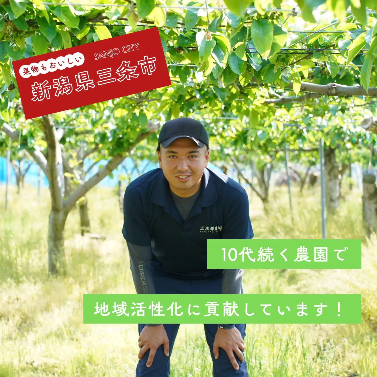 先行予約 和梨 あきづき 約5kg 令和8年度 新潟県三条市産