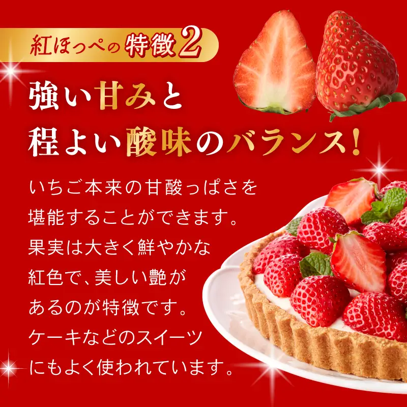 大河原町のいちご 完熟いちご 2パック 果物 フルーツ 苺 紅ほっぺ かおり みずみずしい ジューシー 期間限定 季節限定 家庭用