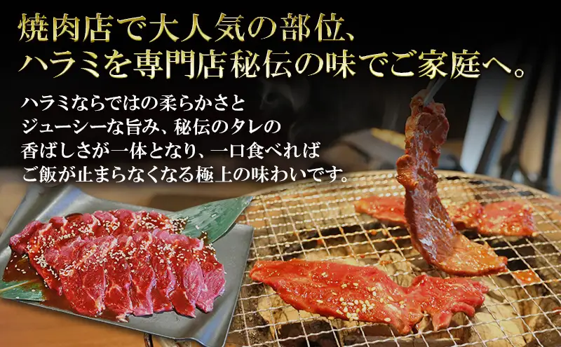 アメリカ産タレ漬け牛ハラミ　大容量(約25人前) 300g×10 牛肉 焼肉 焼き肉 アウトドア BBQ