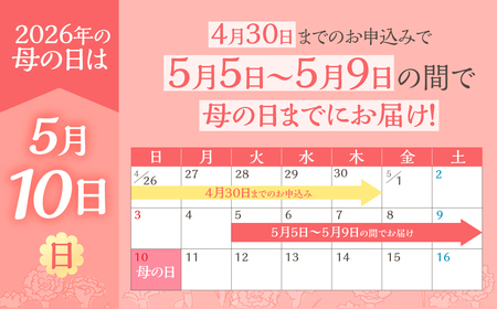 《母の日までにお届け》アジサイ【ピーチ姫】 母の日 プレゼント あじさい 紫陽花