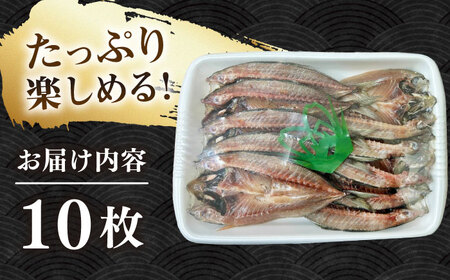 あじ開きざんまい 約100g×10枚《壱岐市》【馬渡水産】 アジ あじの開き アジの開き ひもの 干物 朝食 冷凍配送[JAQ034]