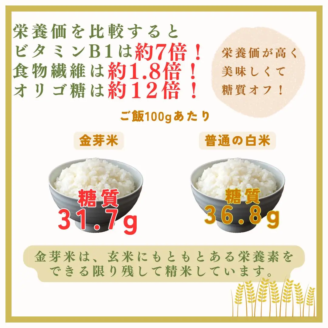 金芽米 生坂村産コシヒカリ 無洗米 5kg 長野県産 | コシヒカリ