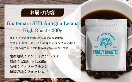 【完全受注焙煎】Tree Coffee Roasters「グアテマラ アンティグア レタナ ハイロースト」 200g - コーヒー 豆 自家焙煎 熱風式焙煎 贈り物