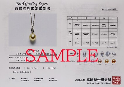 1955 【真珠総合研究所GoldLip花珠鑑別書付】K18　南洋ナチュラルゴールデン真珠11.0㎜up　ダイヤモンド0.20ct 　ペンダントネックレス