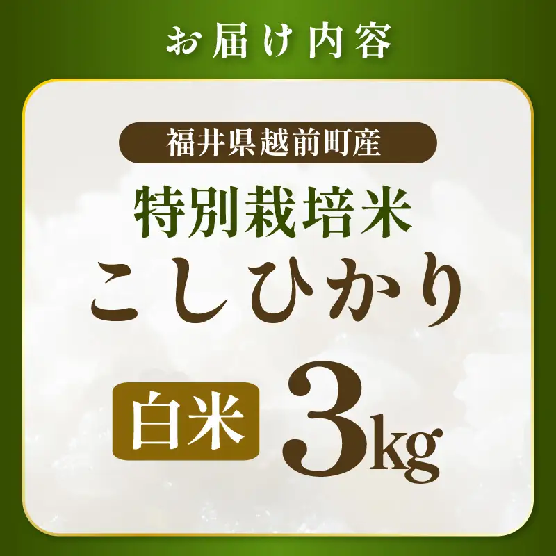 【令和7年産 】 特別栽培米コシヒカリ3kg 農薬化学肥料不使用米(白米） [e81-a003_01]