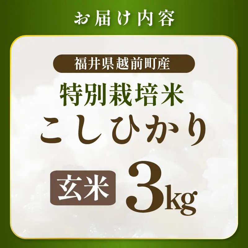 【令和7年産 】 特別栽培米コシヒカリ3kg 農薬化学肥料不使用(玄米） [e81-a003_02]