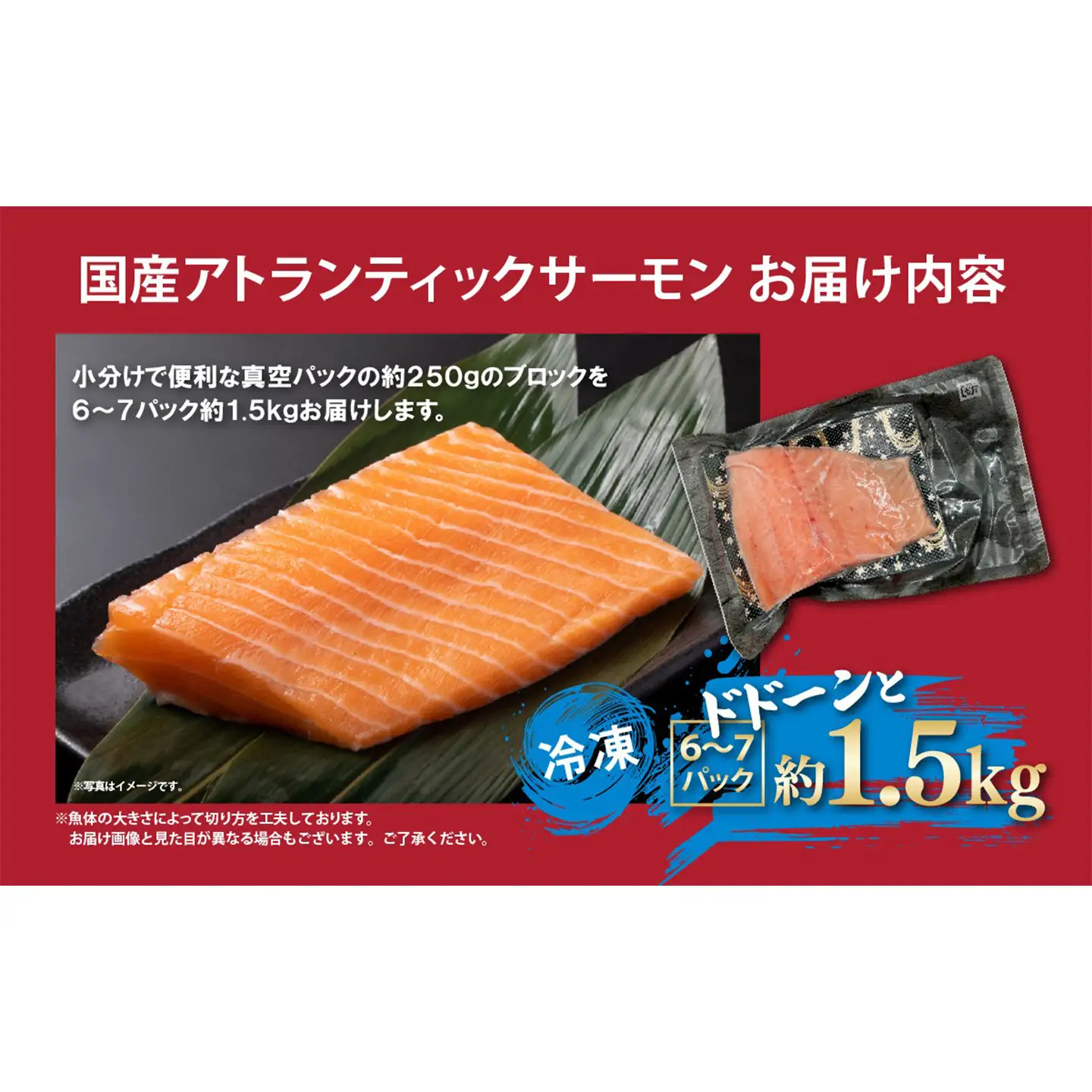 サーモン 冷凍 6～7P 約1.5kg サーモン