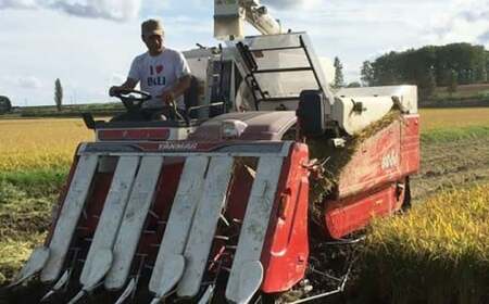 【令和7年産】 ななつぼし（無洗米） 2kg お米 米 コメ 無洗米 白米 主食 ご飯 ごはん  白ご飯 常温 北海道 鷹栖町
