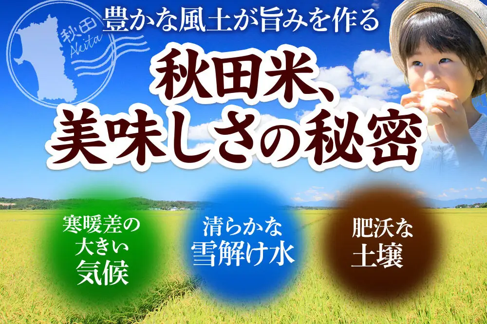 《令和7年産》 米 あきたこまち 5kg 【玄米】 秋田県産