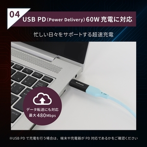 Owltech マグネットで簡単ワンタッチ接続 PD60W充電／データ転送 USB Type-C 変換アダプタ＋追加コネクタ2個セット SET024-01【 ガジェット 神奈川県海老名市 】