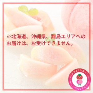 かわさきふるーつ園直送 桃 贈答用1箱　約2kg
