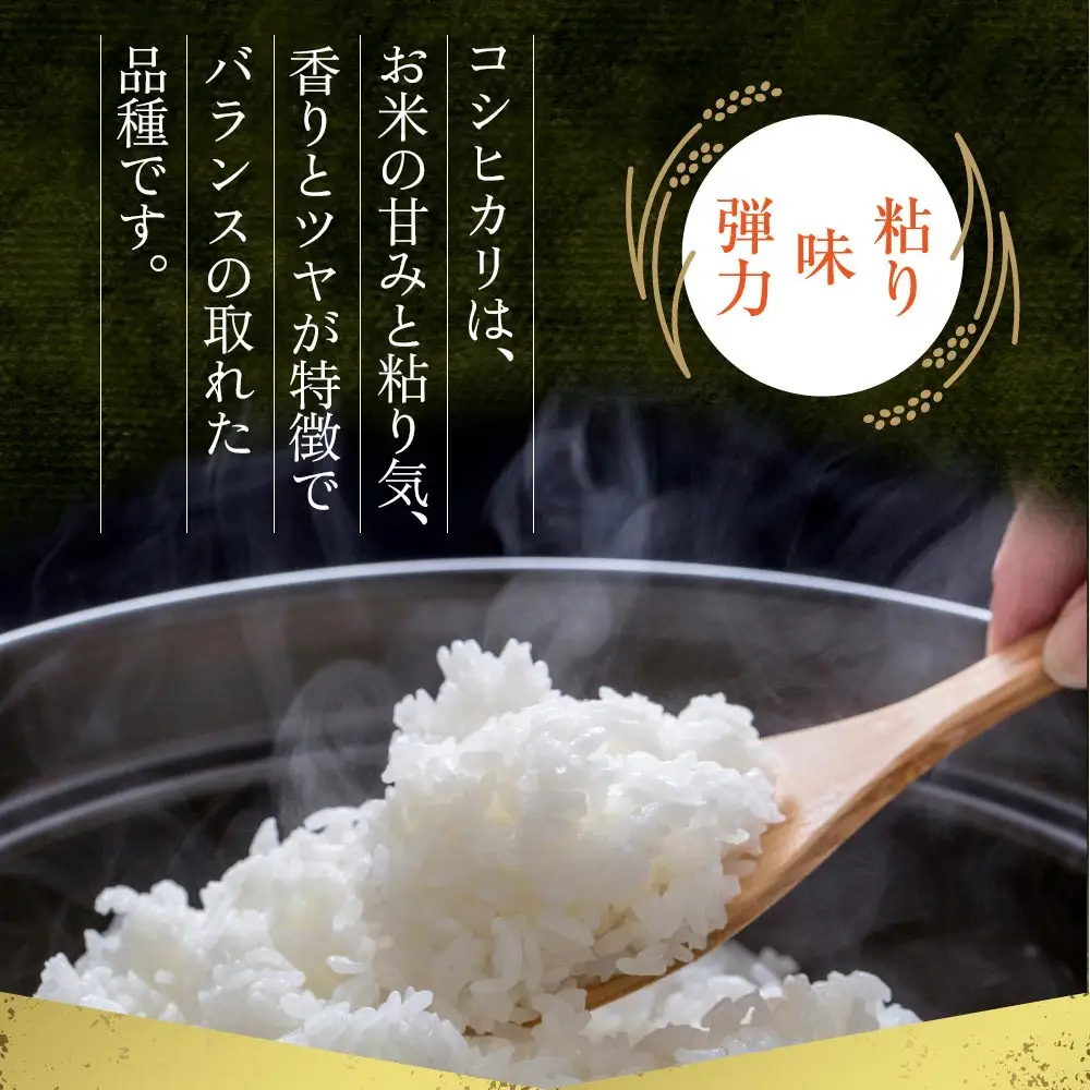 【選べる回数】【定期便隔月6回】R7年産コシヒカリ 5kg プロ厳選の産地直送米 白米 お米 人気 美味しい 白ご飯 こだわり 農業 甘味 香り ツヤ お米の王様 熊本県 阿蘇市