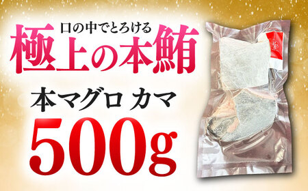対馬産 本マグロ カマ 500g ≪対馬市≫【桐谷商店】 トロの華 対馬 新鮮 マグロ かま 鮪[WAQ091]