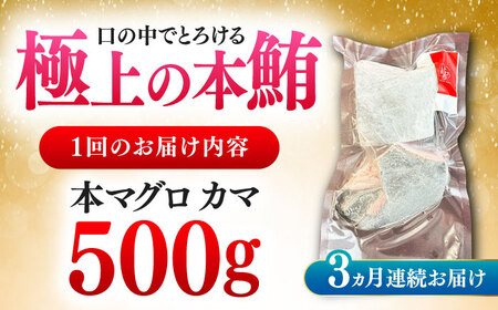 【全3回定期便】対馬産 本マグロ カマ 500g ≪対馬市≫【桐谷商店】 トロの華 対馬 新鮮 マグロ かま 鮪[WAQ092]