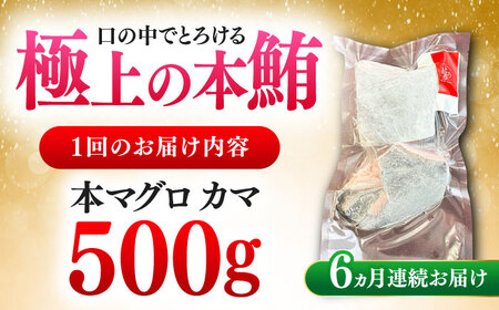 【全6回定期便】対馬産 本マグロ カマ 500g ≪対馬市≫【桐谷商店】 トロの華 対馬 新鮮 マグロ かま 鮪[WAQ093]