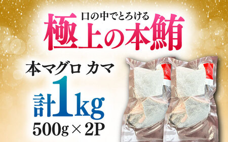 対馬産 本マグロ カマ 1kg ≪対馬市≫【桐谷商店】 トロの華 対馬 新鮮 マグロ かま 鮪[WAQ095]