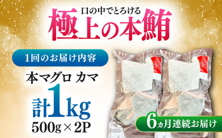 【全6回定期便】対馬産 本マグロ カマ 1kg ≪対馬市≫【桐谷商店】 トロの華 対馬 新鮮 マグロ かま 鮪[WAQ097]