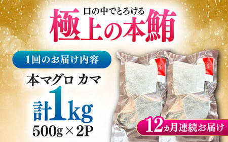 【全12回定期便】対馬産 本マグロ カマ 1kg ≪対馬市≫【桐谷商店】 トロの華 対馬 新鮮 マグロ かま 鮪[WAQ098]