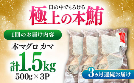 【全3回定期便】対馬産 本マグロ カマ 1.5kg ≪対馬市≫【桐谷商店】 トロの華 対馬 新鮮 マグロ かま 鮪[WAQ100]
