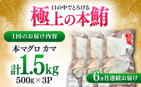 【全6回定期便】対馬産 本マグロ カマ 1.5kg ≪対馬市≫【桐谷商店】 トロの華 対馬 新鮮 マグロ かま 鮪[WAQ101]