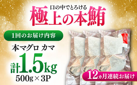 【全12回定期便】対馬産 本マグロ カマ 1.5kg ≪対馬市≫【桐谷商店】 トロの華 対馬 新鮮 マグロ かま 鮪[WAQ102]