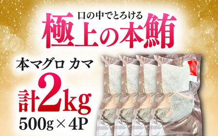 対馬産 本マグロ カマ 2kg ≪対馬市≫【桐谷商店】 トロの華 対馬 新鮮 マグロ かま 鮪[WAQ103]