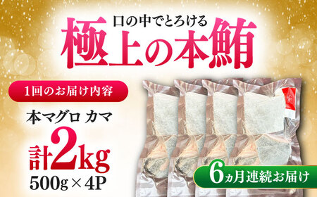 【全6回定期便】対馬産 本マグロ カマ 2kg ≪対馬市≫【桐谷商店】 トロの華 対馬 新鮮 マグロ かま 鮪[WAQ105]