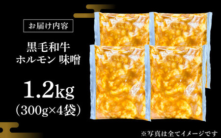 黒毛和牛ホルモン 味噌 1.2kg （300g×4袋）[AZCW055] 和牛
