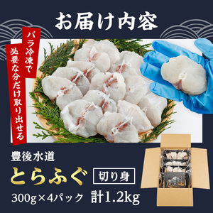 豊後水道 とらふぐ 切り身 (計1.2kg) ふぐ フグ トラフグ ふぐ鍋 唐揚げ ふぐちり てっちり 小分け 切身 切り身魚 切身魚 大容量 国産 冷凍 養殖 岬ふぐ【JJ001】【浪井丸一水産】