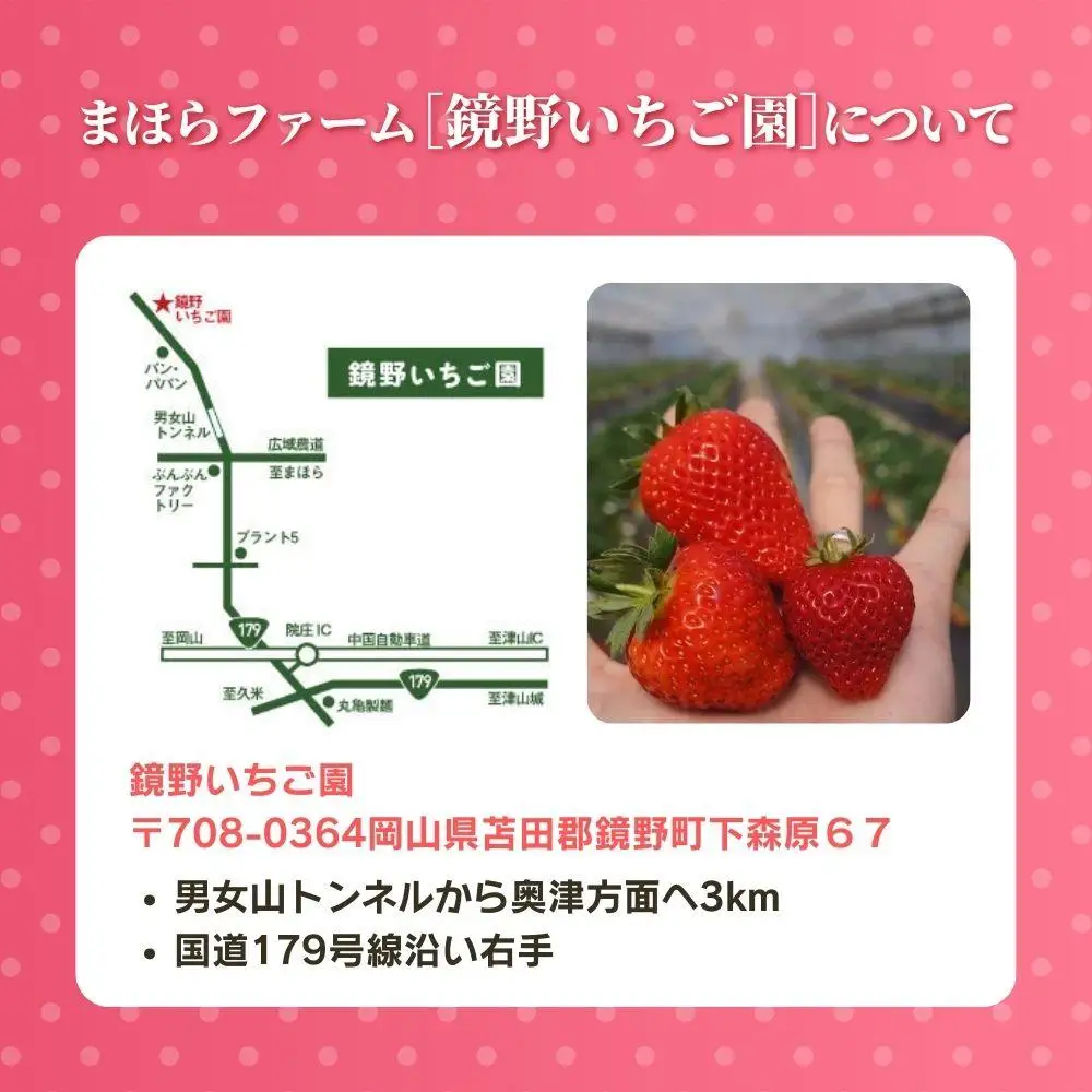 鏡野町まほらファーム いちご狩りご招待券（1名様）【2026年2月～5月】【029-a016】