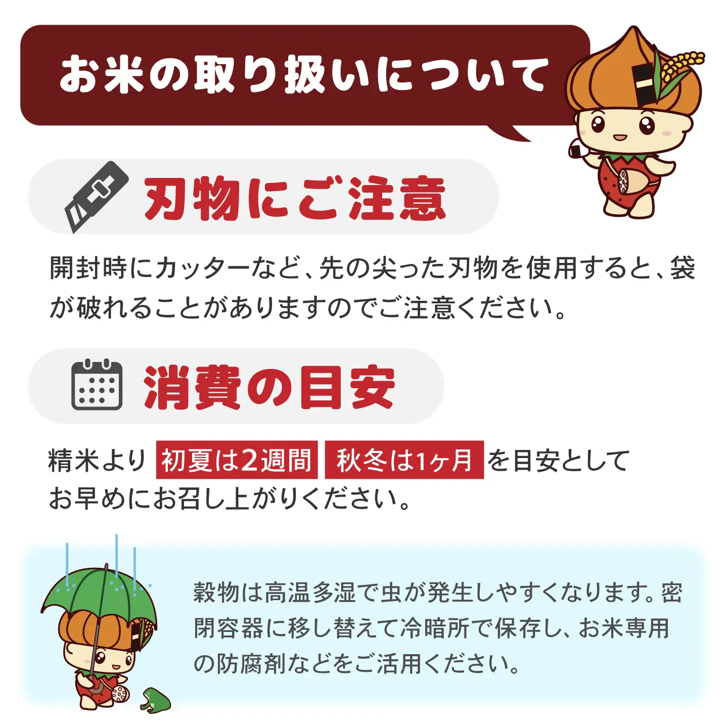 【スピード発送】令和7年産 さがびより（白米） 5kg [IBG018]